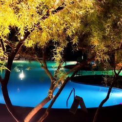 Stay Vegas - Beautiful pool and lazy river was soo relaxing! Convenient poolside bars were perfect too.