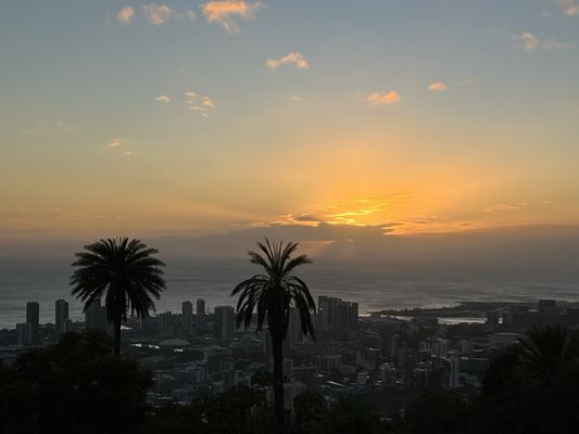 Puʻu ʻUalakaʻa State Wayside by null