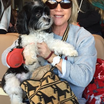 Pampered Pets and Plants - Pet Sitting Near Me Pampered Pets and Plants - Pet Sitting Near Me