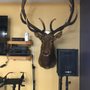 Photo of Cynthiana Elk's Lodge