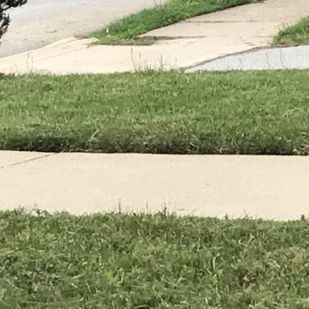 TLC Landscape Services - Fresh cut from a different property. Terrible. - Tree Services Near Me TLC Landscape Services - Fresh cut from a different property. Terrible. - Tree Services Near Me