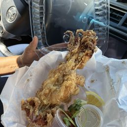 Fried squid