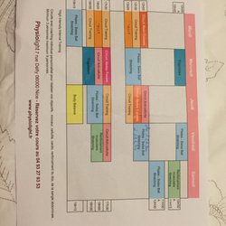 Physiolight - Planning pour des cours de max 4 personnes, des cours particuliers quoi! Mouvements bien corrigés