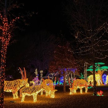 River Of Lights - Festivals Near Me - Albuquerque, New Mexico
