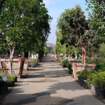 Moon Valley Nurseries - Landscaping Near Me - Escondido, California Moon Valley Nurseries - Landscaping Near Me - Escondido, California