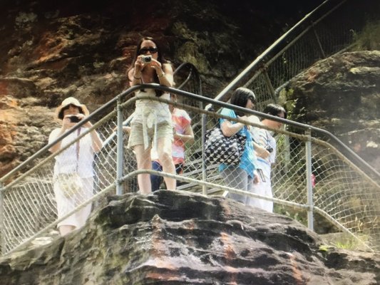 Prince Henry Cliff walk by null