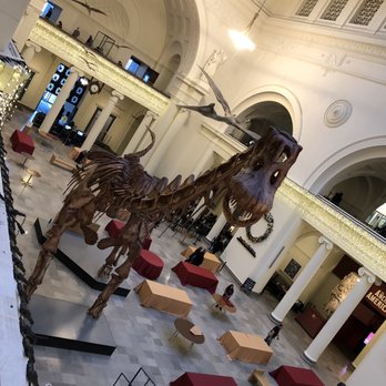 Field Museum - Museums Near Me - Chicago, Illinois Field Museum - Museums Near Me - Chicago, Illinois