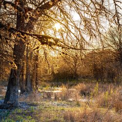 Frio Pecan Farm Log Cabins & Rv Park