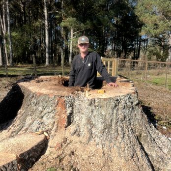 McRee’s Tree Service - Tree Services Near Me McRee’s Tree Service - Tree Services Near Me