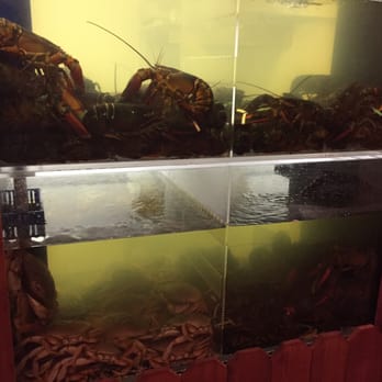 Angry Crab Shack - Seafood Near Me - Mesa, Arizona Angry Crab Shack - Seafood Near Me - Mesa, Arizona