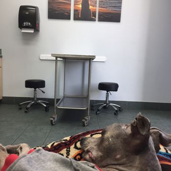 Miami Veterinary Specialists - Large clean exam room. - Emergency Pet Hospital Near Me - Miami, Florida Miami Veterinary Specialists - Large clean exam room. - Emergency Pet Hospital Near Me - Miami, Florida