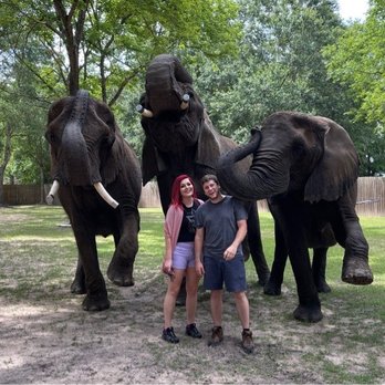 East Texas Elephant Experience - Petting Zoos Near Me - Cut And Shoot, Texas East Texas Elephant Experience - Petting Zoos Near Me - Cut And Shoot, Texas
