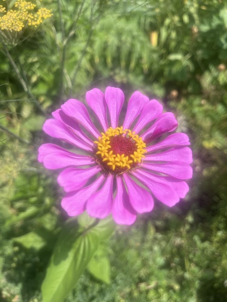 Narrows Botanical Garden