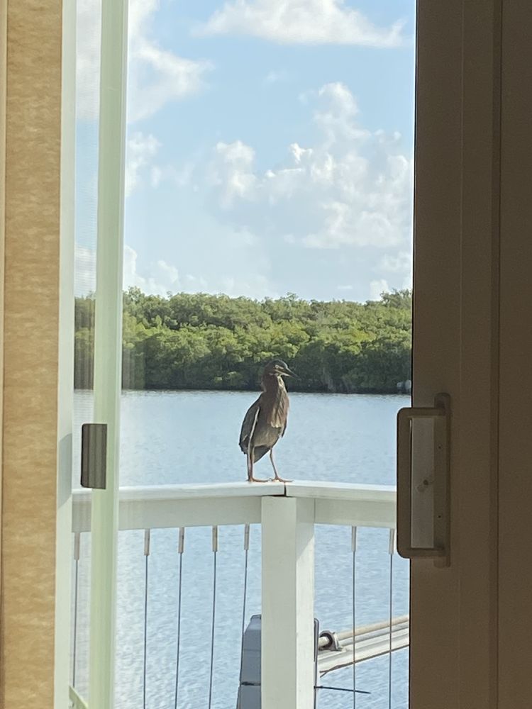 NETTLES RENTALS BY OWNER Updated October 2024 15 Photos Nettles