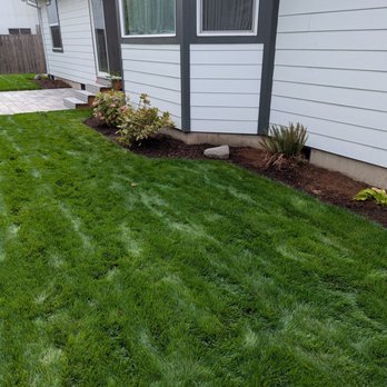 Escobar Landscape & Irrigation - Amazing! - Landscaping Near Me Escobar Landscape & Irrigation - Amazing! - Landscaping Near Me