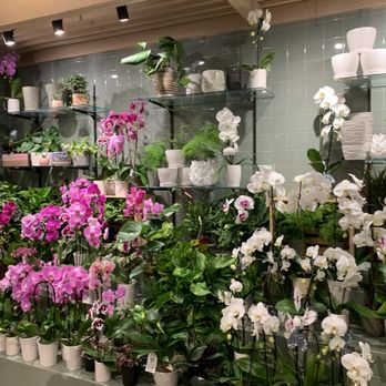 AJ's Fine Foods - Beautiful orchids - Specialty Food Near Me - Chandler, Arizona AJ's Fine Foods - Beautiful orchids - Specialty Food Near Me - Chandler, Arizona