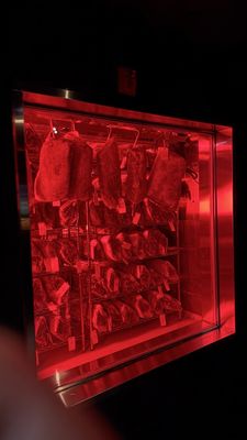 Undercote by null