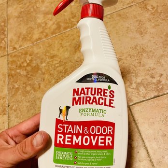Petco - Stain & Odor Remover - Pet Stores Near Me - Encino, California Petco - Stain & Odor Remover - Pet Stores Near Me - Encino, California