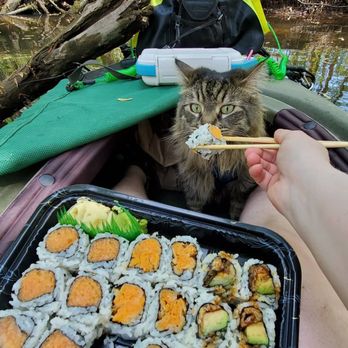 Kuyi Sushi - Spicy salmon, sweet potato, and eel avocado - Sushi Bars Near Me - Cromwell, Connecticut Kuyi Sushi - Spicy salmon, sweet potato, and eel avocado - Sushi Bars Near Me - Cromwell, Connecticut