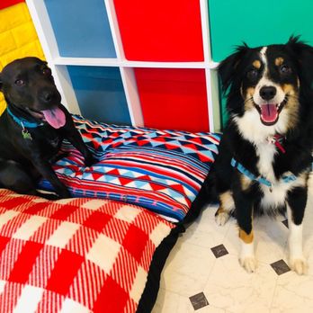 Tefani & So. Dogcare - Pet Sitting Near Me - San Francisco, California Tefani & So. Dogcare - Pet Sitting Near Me - San Francisco, California