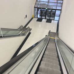 Going, Going, Gone!