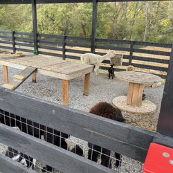 Animals just off of the parking lot.