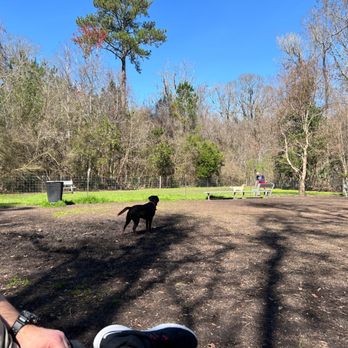 Bees Landing Dog Park - Small dog area. - Dog Parks Near Me - Charleston, South Carolina Bees Landing Dog Park - Small dog area. - Dog Parks Near Me - Charleston, South Carolina