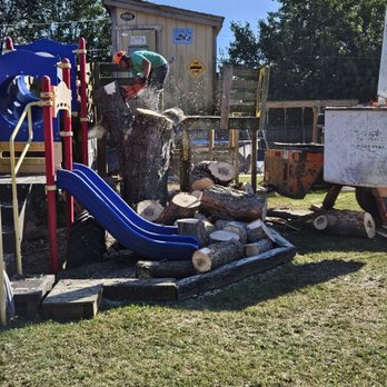 Nevers Tree Service - Tree Services Near Me Nevers Tree Service - Tree Services Near Me