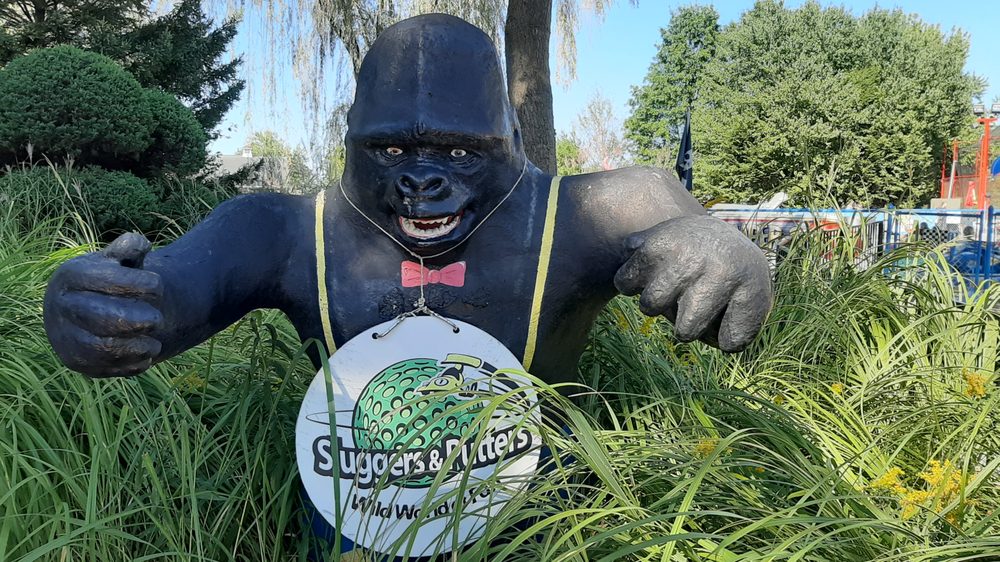 SLUGGERS & PUTTERS AMUSEMENT PARK 75 Photos & 19 Reviews 333