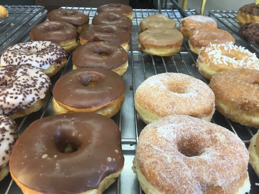 Donut City by null