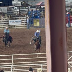 Sonoita Labor Day Rodeo - Saddle broncs!
