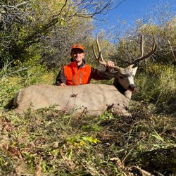 Ivory & Antler Outfitters