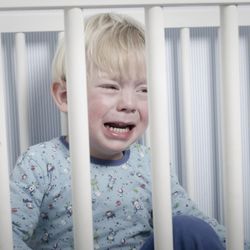Tiny Transitions Infant & Toddler Sleep Consulting