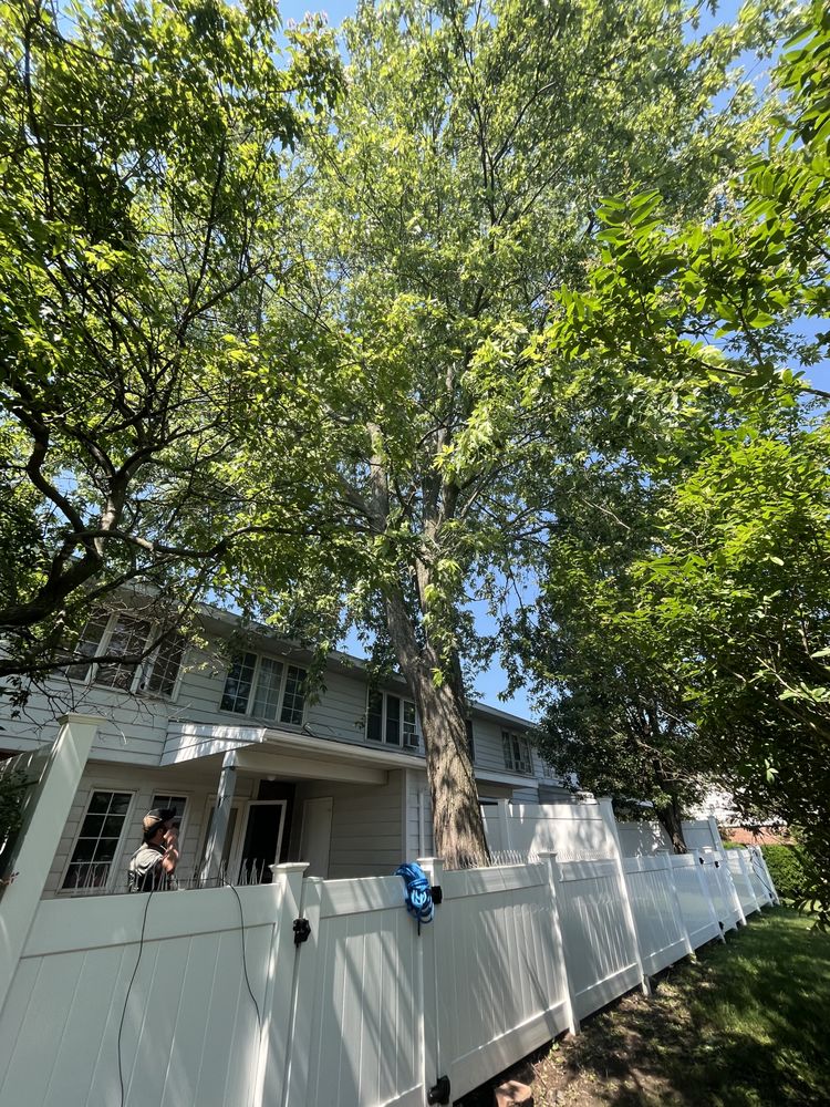 HIS & HERS TREE SERVICE Updated June 2024 Request a Quote 40