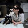 Photo of Forest Acres Animal Hospital