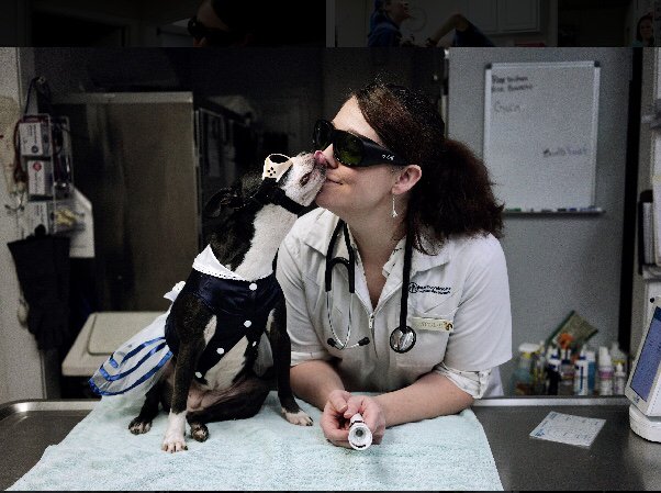 Forest Acres Animal Hospital - pet boarding facility in Columbia, SC