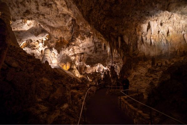 Carlsbad Caverns National Park by null