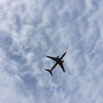 Gravelly Point - Look up - Parks Near Me - Arlington, Virginia Gravelly Point - Look up - Parks Near Me - Arlington, Virginia