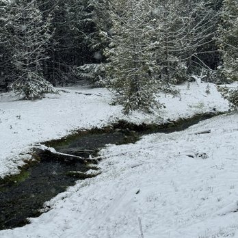 Bears Brew - Snow in Yellowstone in late May, 2024! - Coffee & Tea Near Me - Gardiner, Montana Bears Brew - Snow in Yellowstone in late May, 2024! - Coffee & Tea Near Me - Gardiner, Montana
