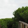 Photo of Pinares de Rota