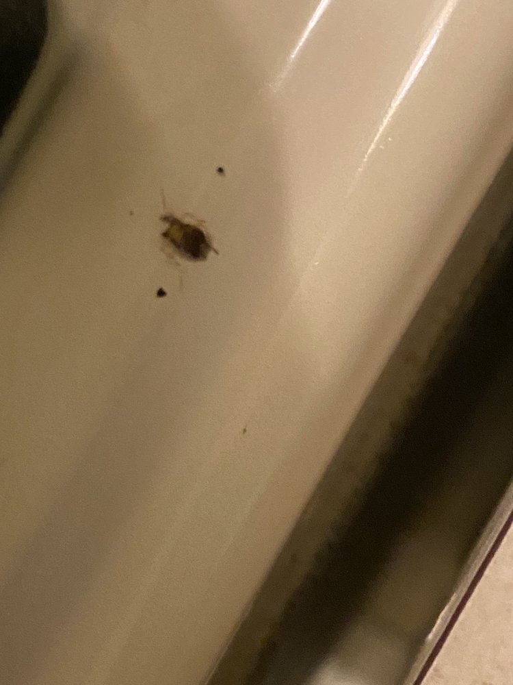 GRANADA GARDENS APARTMENTS & TOWNHOMES 34 Photos 4340 Clarkwood