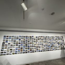 Blaffer Art Museum - US prisons and detention centers