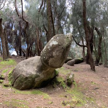 Phallic Rock - Landmarks & Historical Buildings Near Me - Kalaheo, Hawaii Phallic Rock - Landmarks & Historical Buildings Near Me - Kalaheo, Hawaii