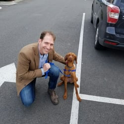 Bark Busters Home Dog Training - Eastside
