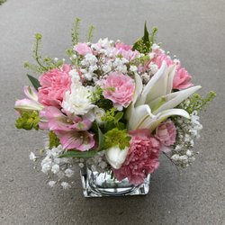 Sophia's Floral - Sophia's Pretty In Pink