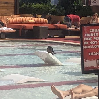 H2O Pool & Bar - Adults only pool with kids in it! - Swimming Pools Near Me - Atlantic City, New Jersey H2O Pool & Bar - Adults only pool with kids in it! - Swimming Pools Near Me - Atlantic City, New Jersey
