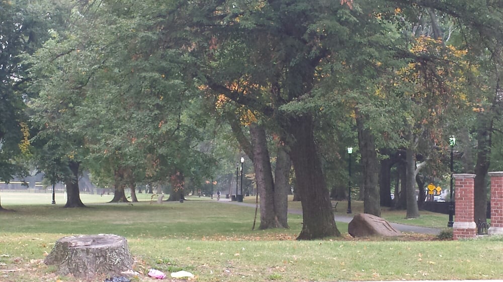 Vailsburg Park