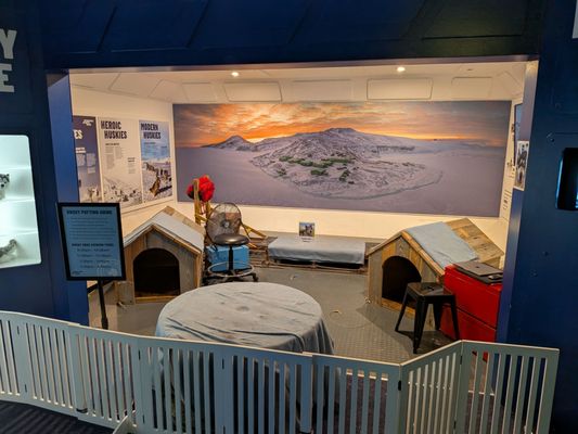 International Antarctic Centre by null