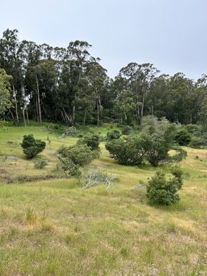 Bayview Park by null