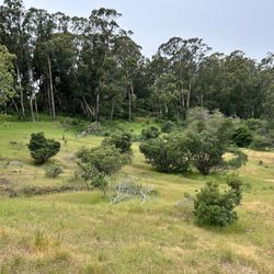 Bayview Park